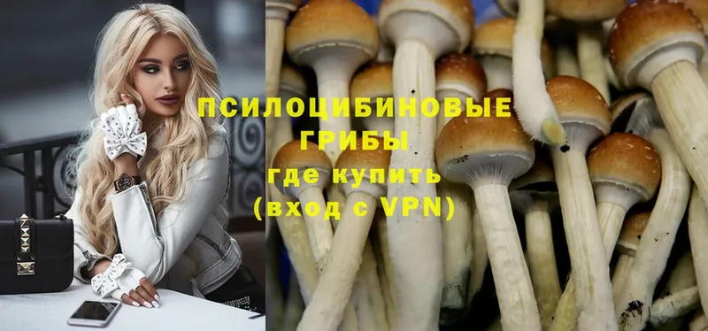 Галлюциногенные грибы Cubensis  MEGA рабочий сайт  Красноуральск 